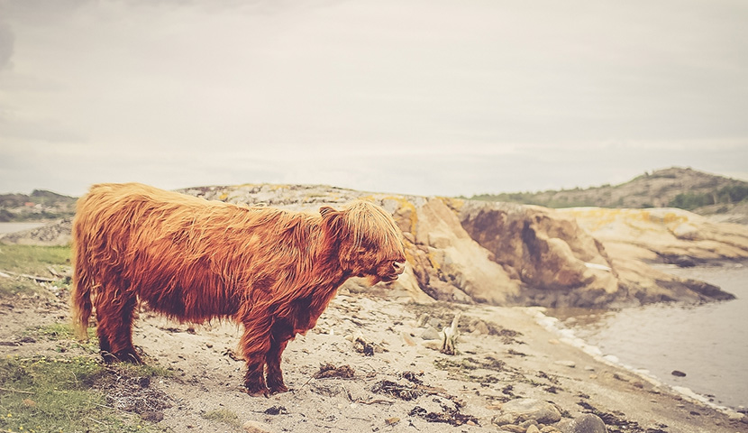 小七手机号在线网页轰炸