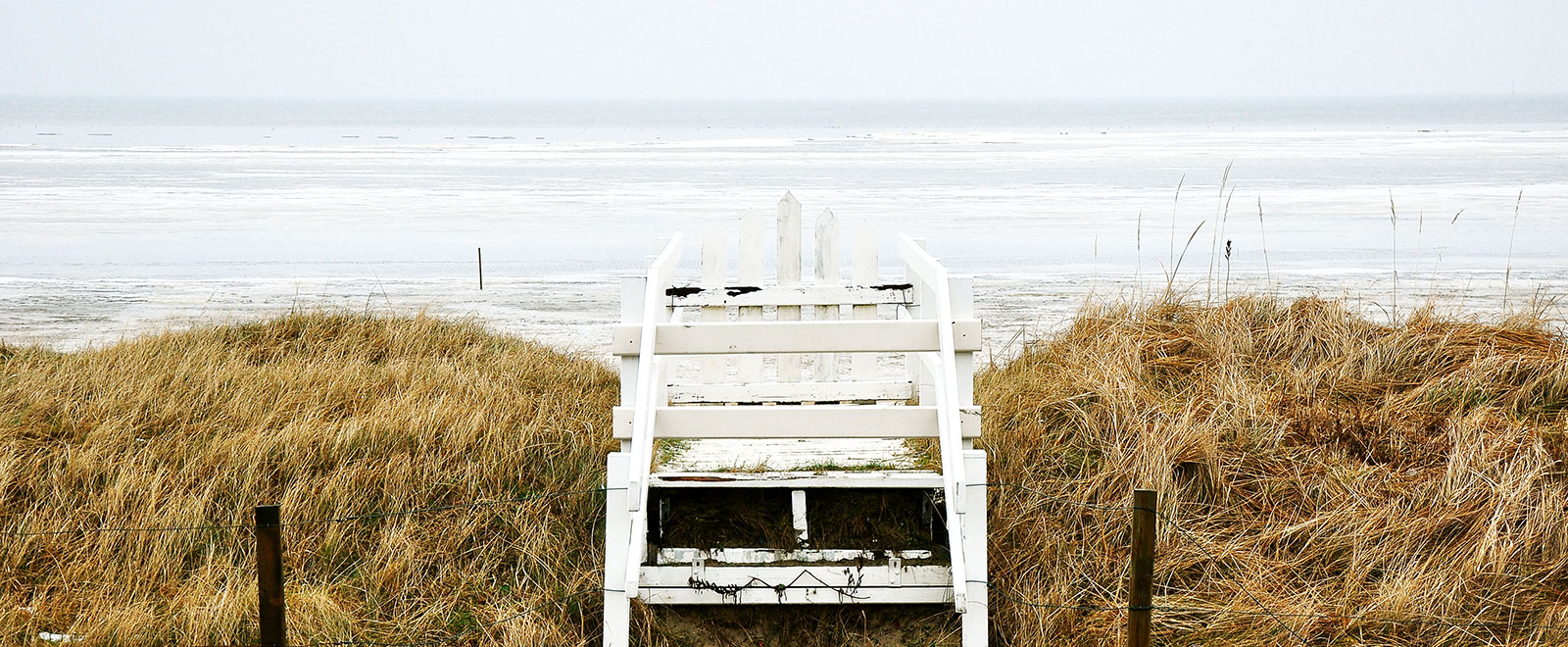 企业级定制开发的网页免费发手机号